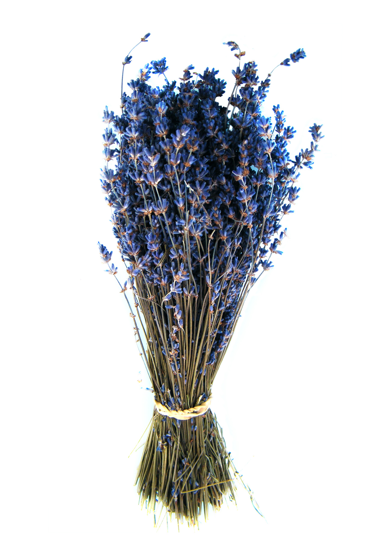 Dried Lavender Bouquets - Home Essentials